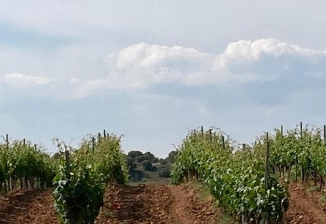 Turistico Cerca Aranda De Duero La Ren Lecres *
